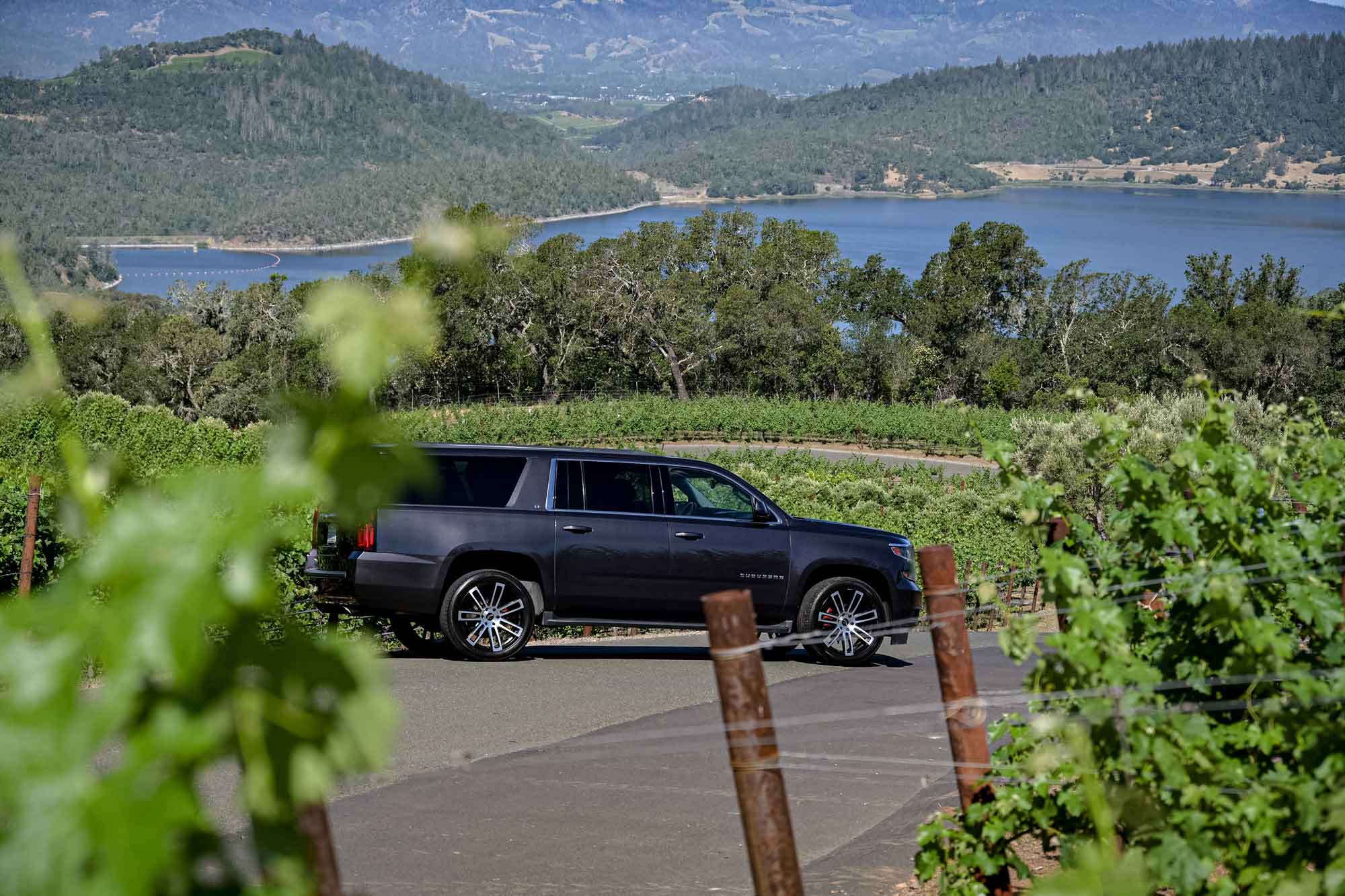 dark SUV in the distance viewed from the side amongst vines